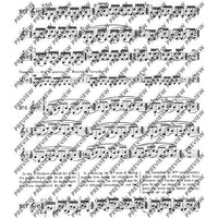 100 Technical Paraphrases on Kreutzer-Etudes