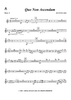 Quo Non Ascendam - Horn 5