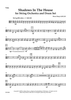 Shadows in the House -  for String Orchestra and Drum Set - Viola