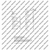 El Cimarrón - Performing Score