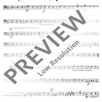 Wiener Blut - Double Bass