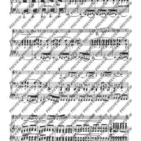 Grand Duo concertant