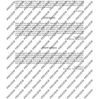 The Flute Expedition