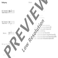 Florian auf der Wolke - Percussion