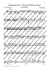 Chorus of the Hebrew Slaves