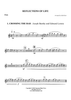 Reflections Of Life - Flute