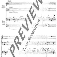 Organ Concerto No. 10 D Minor - Organ Reduction