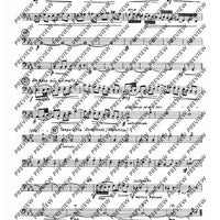 2. Concerto in C - Double Bass