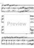 Concerto No. 1 G Major KV313 - Score