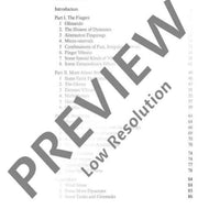 The Modern Recorder Player