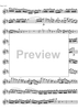 Concerto No. 2 C Major KV314 - Flute