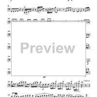 Cello Accompaniments - Volume 3