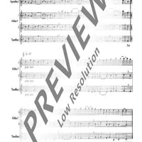 The Christmas Story - Recorder