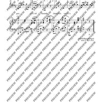 Die Gansleber im Hause Duschnitz