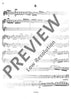 Concerto grosso E minor - Violin 2 Solo/Rip.