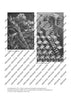 Perplexities after Escher - Score and Parts