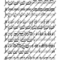 Dream of the Cherry Blossoms