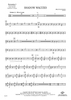 Shadow Waltzes - Percussion 2
