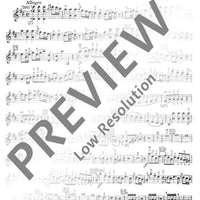 Concerto I D Major - Violin I