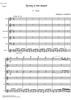 Spring in the Desert - Score