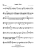 Doppler Effect - Oboe (Optional Flute 2)