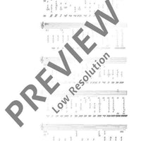 The Modern Recorder Player