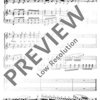 Es blinken so lustig die Sterne - Score