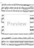 Concerto No. 2 C Major KV314 - Score