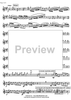 Battaglia di Maringo - Flute