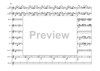 Bass Clarinet Double Concerto - Score