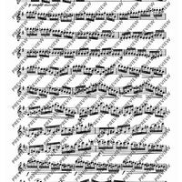 24 Virtuoso Studies