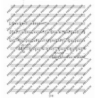 Collected Studies for Player Piano