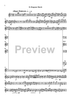 Carmen Vignettes - Flute