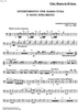 Divertimento - Bass Clarinet