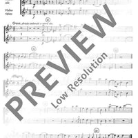 Concerto grosso G Minor - Violin Ii (solo And Rip.)