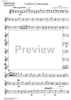 Caleno Casturame - Alto Saxophone