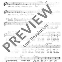 Liederreigen nach Volksweisen - Choral Score