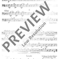 Instrumental-Playbook - Cello/double Bass