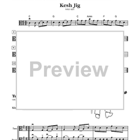 Fiddlers Philharmonic - Viola Book