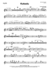Kakadu - Flute
