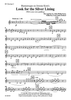 Humoresque on Jerome Kern's Look for the Silver Lining (With some extra padding) - Bb Clarinet 2