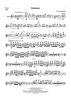 Sundance - Flute 1
