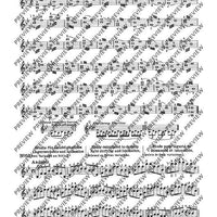 100 Short Technical Paraphrases on Kayser's Etudes