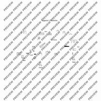 El Cimarrón - Performing Score