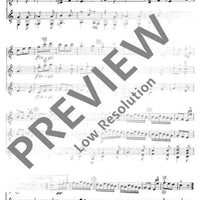 Musik der Wiener Klassik - Performing Score