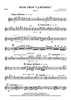 Music from "La Rondine" - Flute