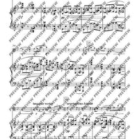Variations D minor - Score and Parts