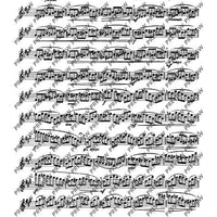 The Flutist's Progress