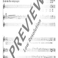 Choräle und Geistliche Lieder - Performing Score