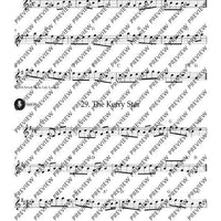 Irish Folk Tunes for Descant Recorder